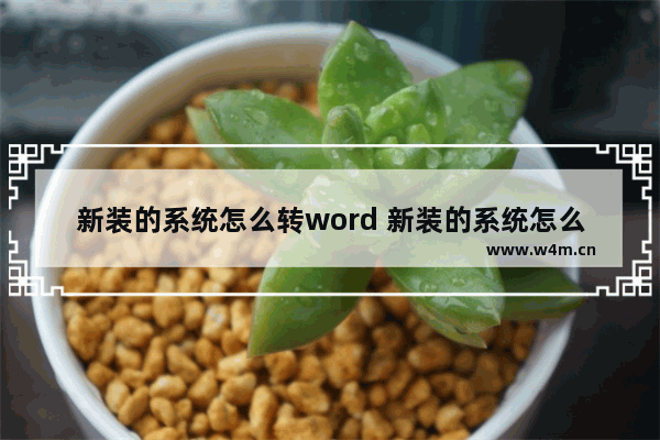 新装的系统怎么转word 新装的系统怎么装word