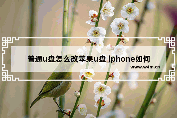 普通u盘怎么改苹果u盘 iphone如何变成u盘