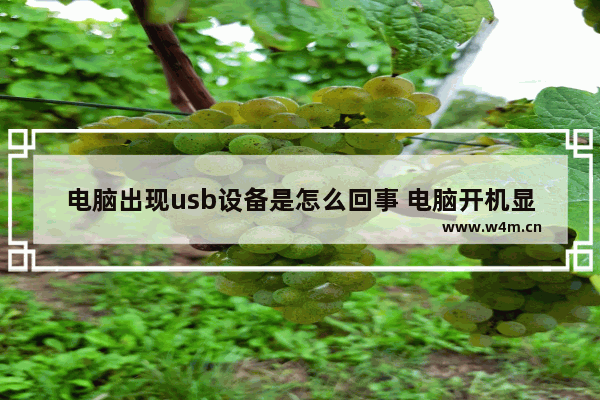 电脑出现usb设备是怎么回事 电脑开机显示usb设备出现电涌