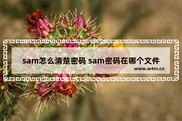 sam怎么清楚密码 sam密码在哪个文件夹