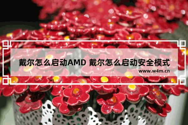 戴尔怎么启动AMD 戴尔怎么启动安全模式