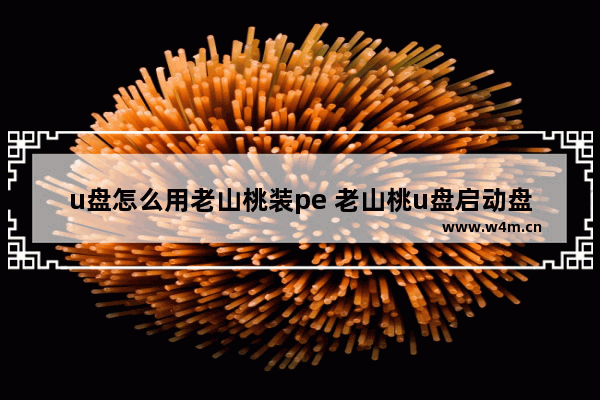 u盘怎么用老山桃装pe 老山桃u盘启动盘