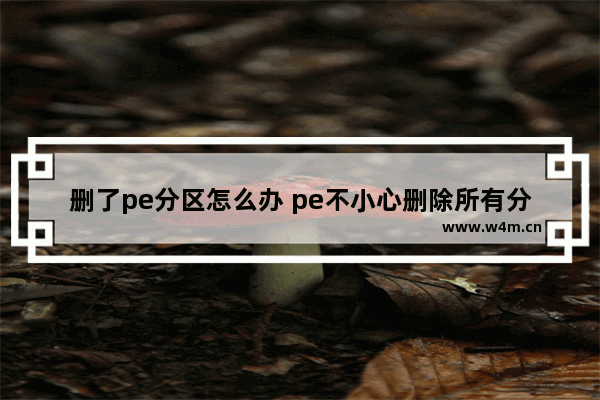 删了pe分区怎么办 pe不小心删除所有分区