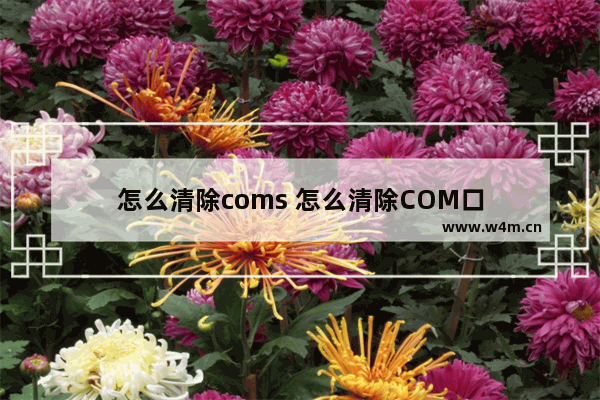 怎么清除coms 怎么清除COM口