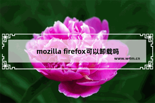 mozilla firefox可以卸载吗