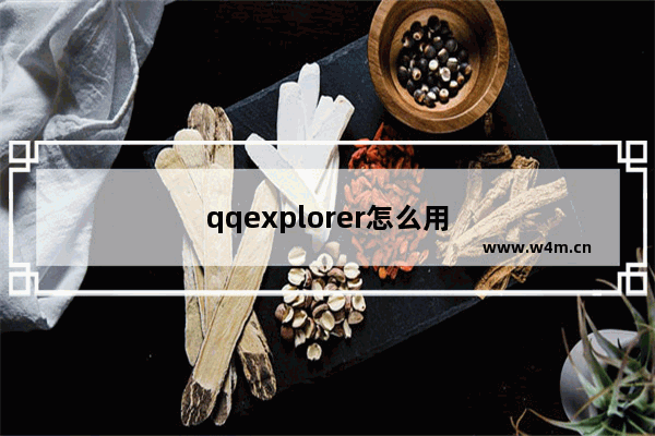 qqexplorer怎么用