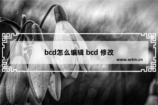 bcd怎么编辑 bcd 修改