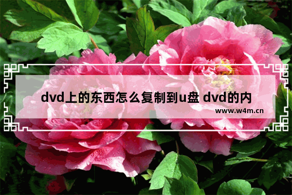 dvd上的东西怎么复制到u盘 dvd的内容怎么复制到电脑