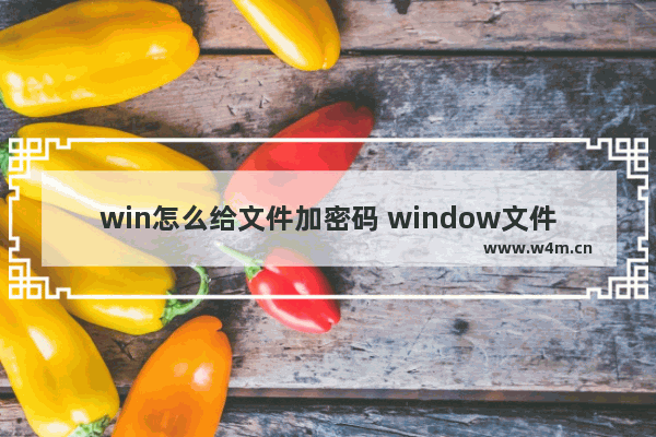 win怎么给文件加密码 window文件夹怎么加密