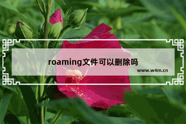 roaming文件可以删除吗