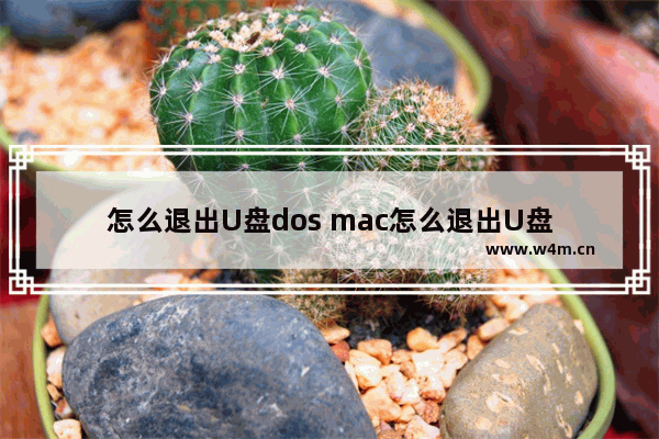 怎么退出U盘dos mac怎么退出U盘