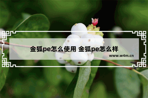 金狐pe怎么使用 金狐pe怎么样