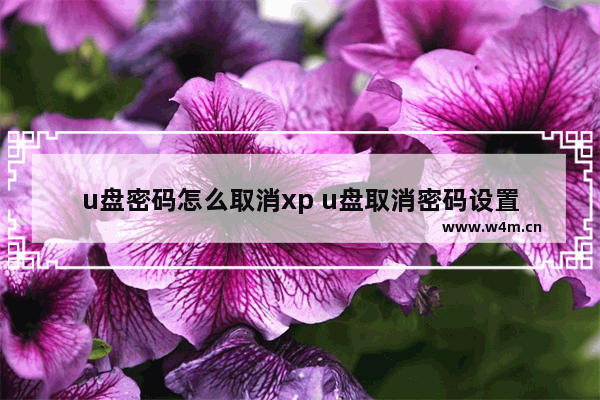 u盘密码怎么取消xp u盘取消密码设置