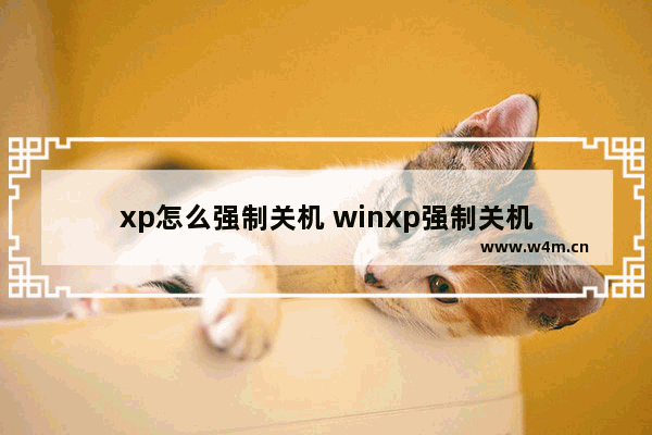 xp怎么强制关机 winxp强制关机