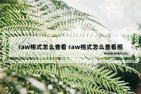 raw格式怎么查看 raw格式怎么查看照片