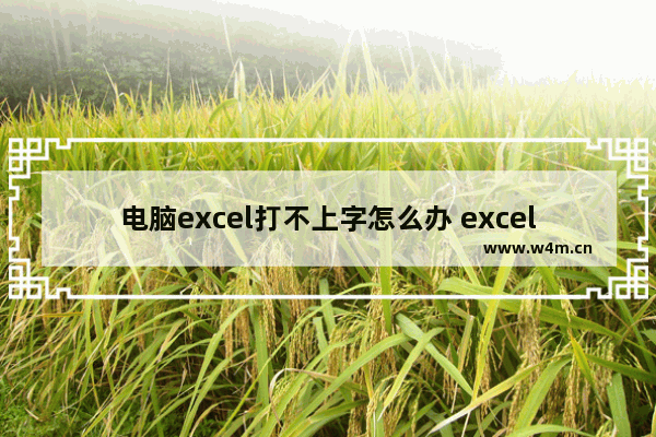 电脑excel打不上字怎么办 excel打字打不进去怎么回事