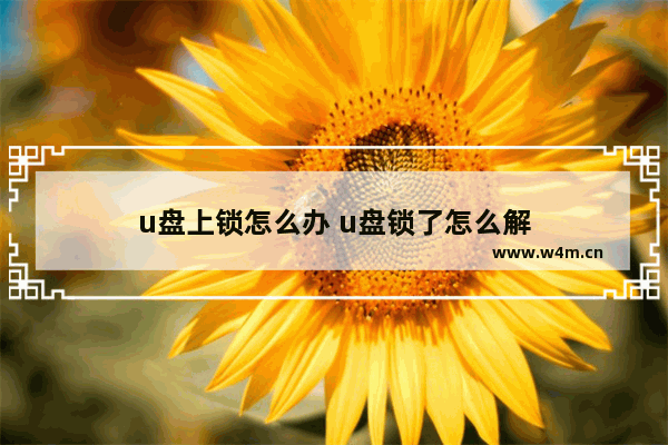 u盘上锁怎么办 u盘锁了怎么解