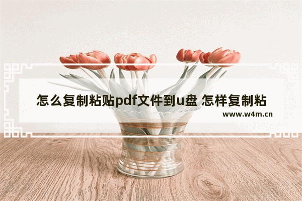 怎么复制粘贴pdf文件到u盘 怎样复制粘贴pdf文件