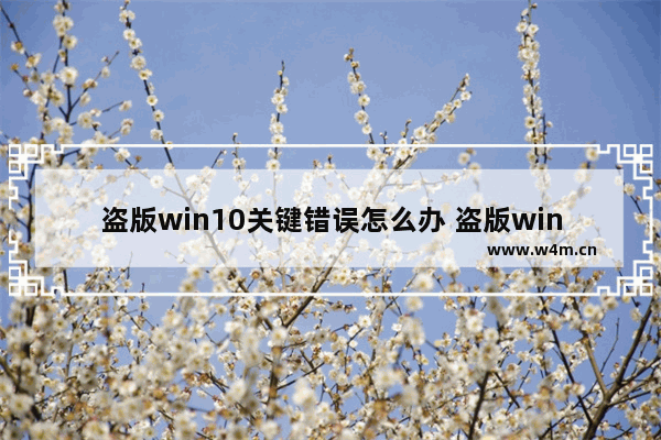 盗版win10关键错误怎么办 盗版win10需要修复漏洞吗