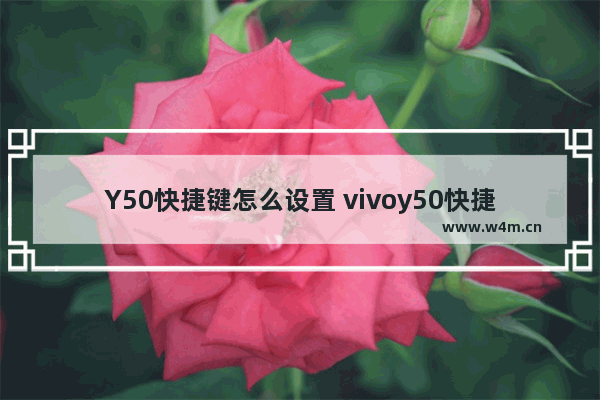 Y50快捷键怎么设置 vivoy50快捷栏怎么设置