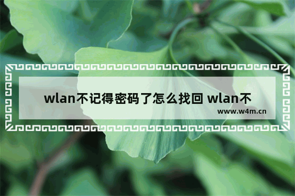 wlan不记得密码了怎么找回 wlan不记得密码了怎么找回来