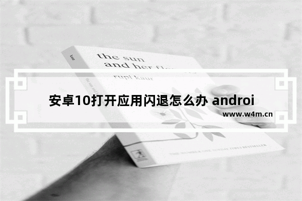 安卓10打开应用闪退怎么办 android10应用闪退原因