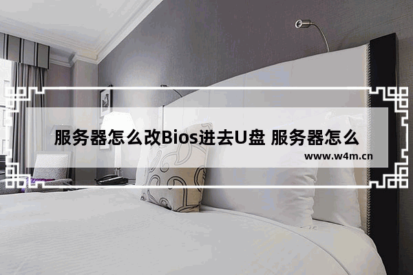 服务器怎么改Bios进去U盘 服务器怎么改硬盘格式