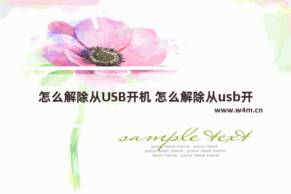 怎么解除从USB开机 怎么解除从usb开机密码