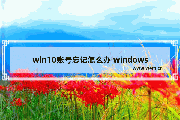 win10账号忘记怎么办 windows10账号密码忘了怎么办