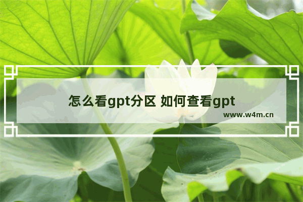 怎么看gpt分区 如何查看gpt