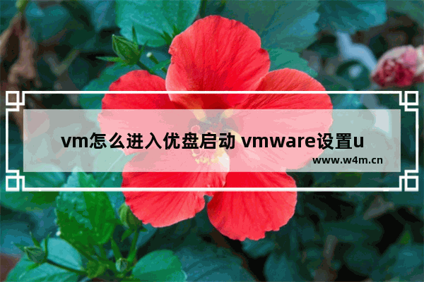 vm怎么进入优盘启动 vmware设置u盘启动