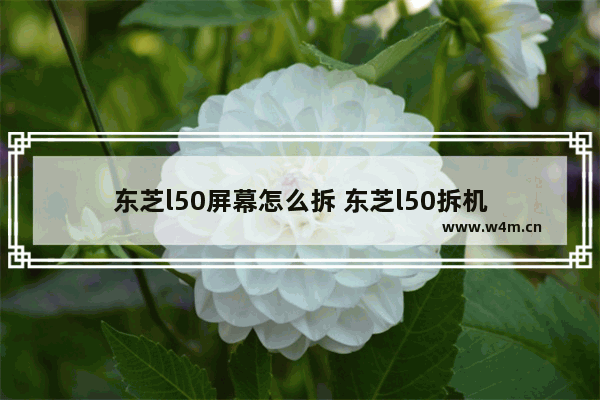 东芝l50屏幕怎么拆 东芝l50拆机