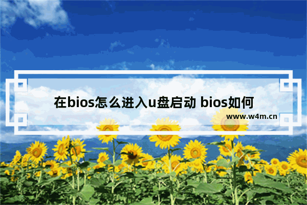 在bios怎么进入u盘启动 bios如何进入u盘