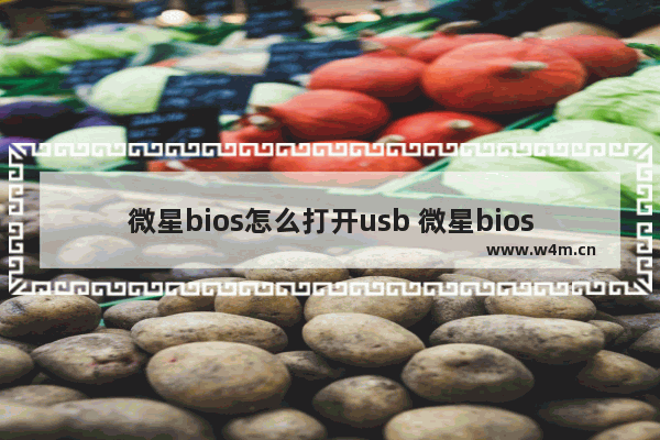 微星bios怎么打开usb 微星bios怎么打开wifi