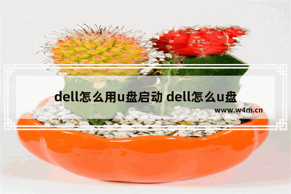 dell怎么用u盘启动 dell怎么u盘启动电脑