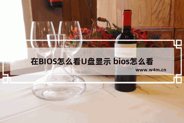 在BIOS怎么看U盘显示 bios怎么看u盘没显示u盘怎么办