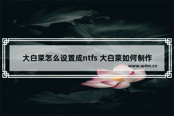 大白菜怎么设置成ntfs 大白菜如何制作ntfs