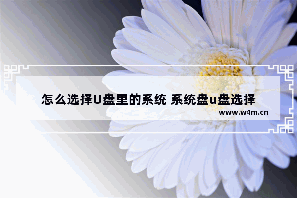 怎么选择U盘里的系统 系统盘u盘选择