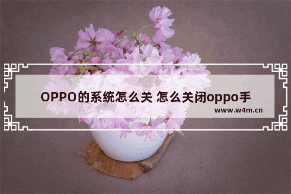 OPPO的系统怎么关 怎么关闭oppo手机的系统更新