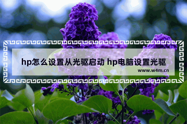 hp怎么设置从光驱启动 hp电脑设置光驱启动