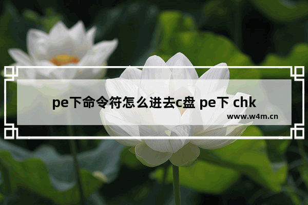 pe下命令符怎么进去c盘 pe下 chkdsk