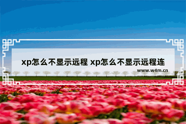 xp怎么不显示远程 xp怎么不显示远程连接