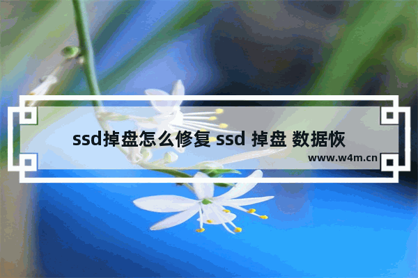 ssd掉盘怎么修复 ssd 掉盘 数据恢复