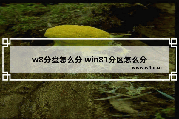 w8分盘怎么分 win81分区怎么分