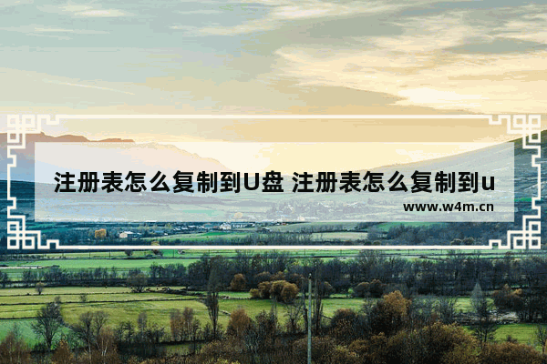 注册表怎么复制到U盘 注册表怎么复制到u盘上