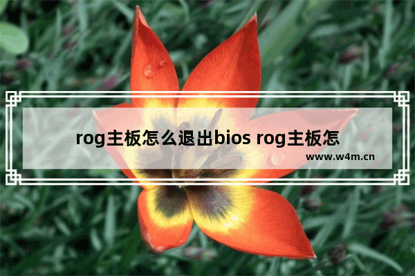 rog主板怎么退出bios rog主板怎么退出bios界面