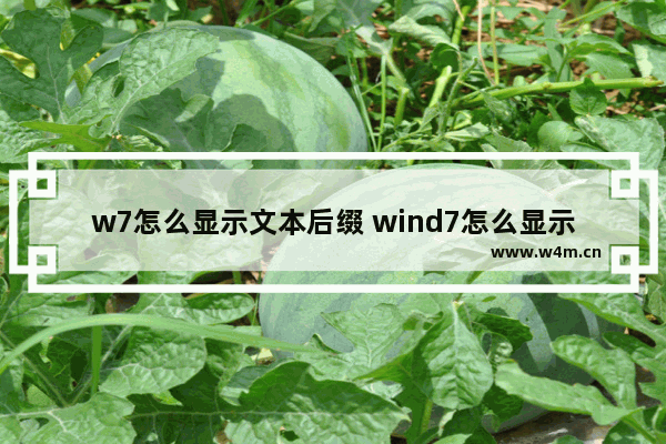 w7怎么显示文本后缀 wind7怎么显示文件后缀