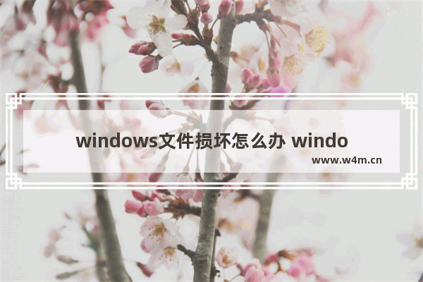 windows文件损坏怎么办 windows10文件损坏