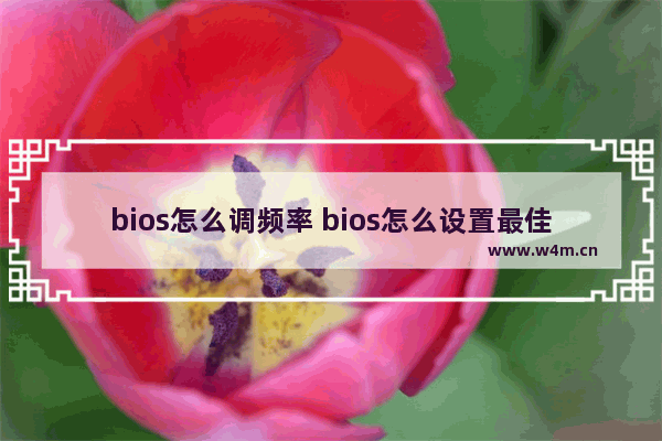 bios怎么调频率 bios怎么设置最佳性能