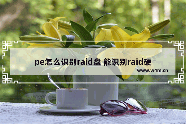 pe怎么识别raid盘 能识别raid硬盘的pe